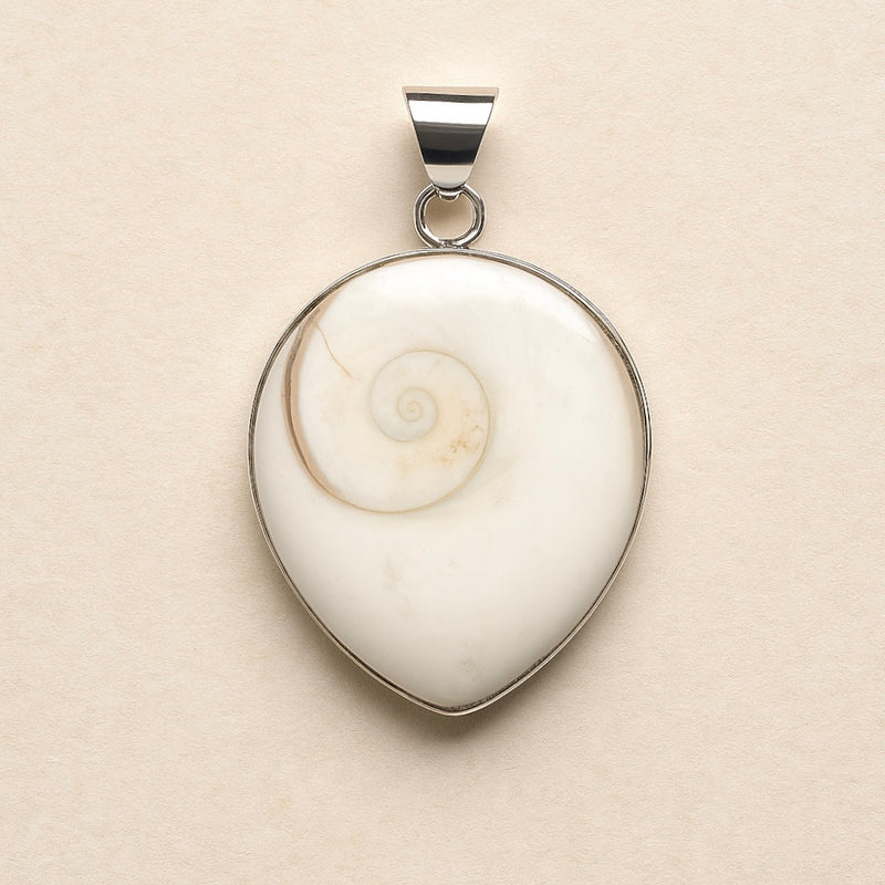 Shiva Eye Shell