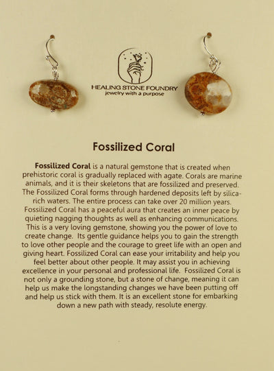 Fossilized Coral