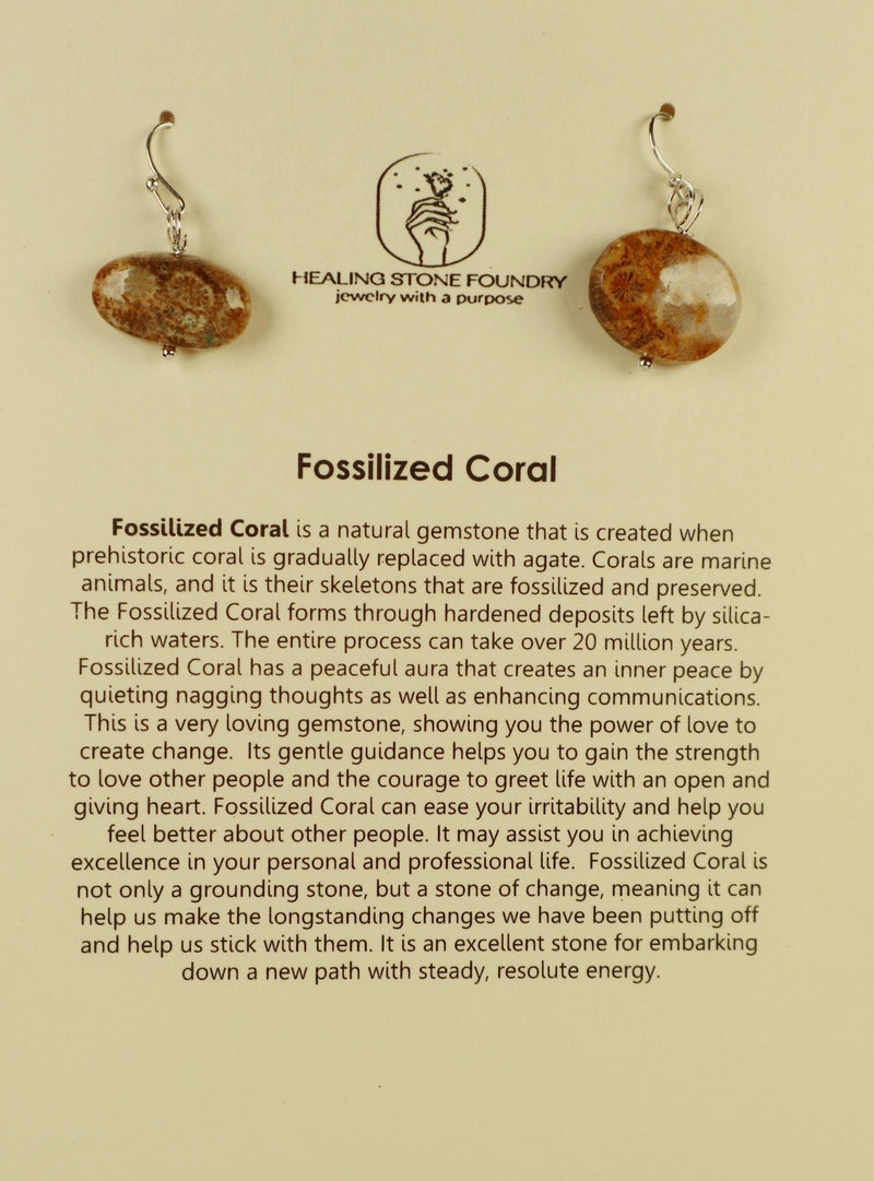 Fossilized Coral