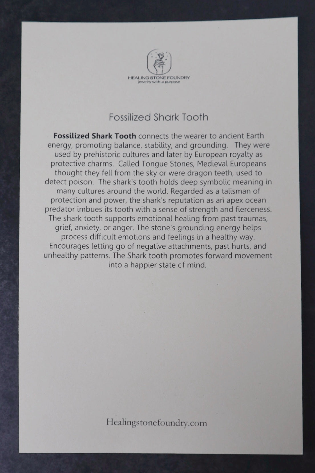 Fossilized Shark Tooth