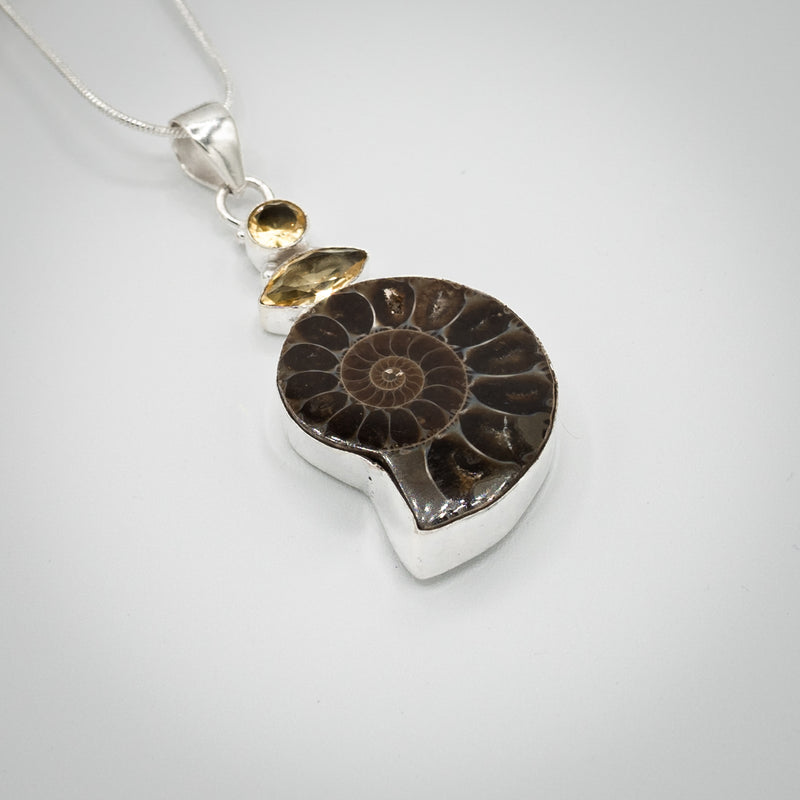 Ammonite Fossil & Citrine